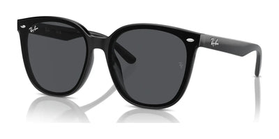 Ray-Ban RB4423D Sunglasses Black / Dark Grey