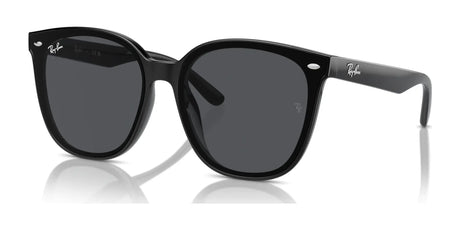 Ray-Ban RB4423D Sunglasses | Size 66