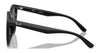 Ray-Ban RB4423D Sunglasses | Size 66 / Black №601/87 / Dark Grey (3N 9.3%)