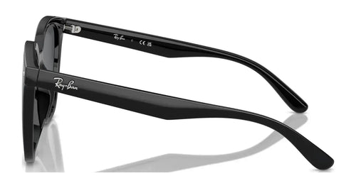 Ray-Ban RB4423D Sunglasses / Size 66 / Black №601/87 / Dark Grey (3N 9.3%)