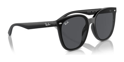 Ray-Ban RB4423D Sunglasses | Size 66