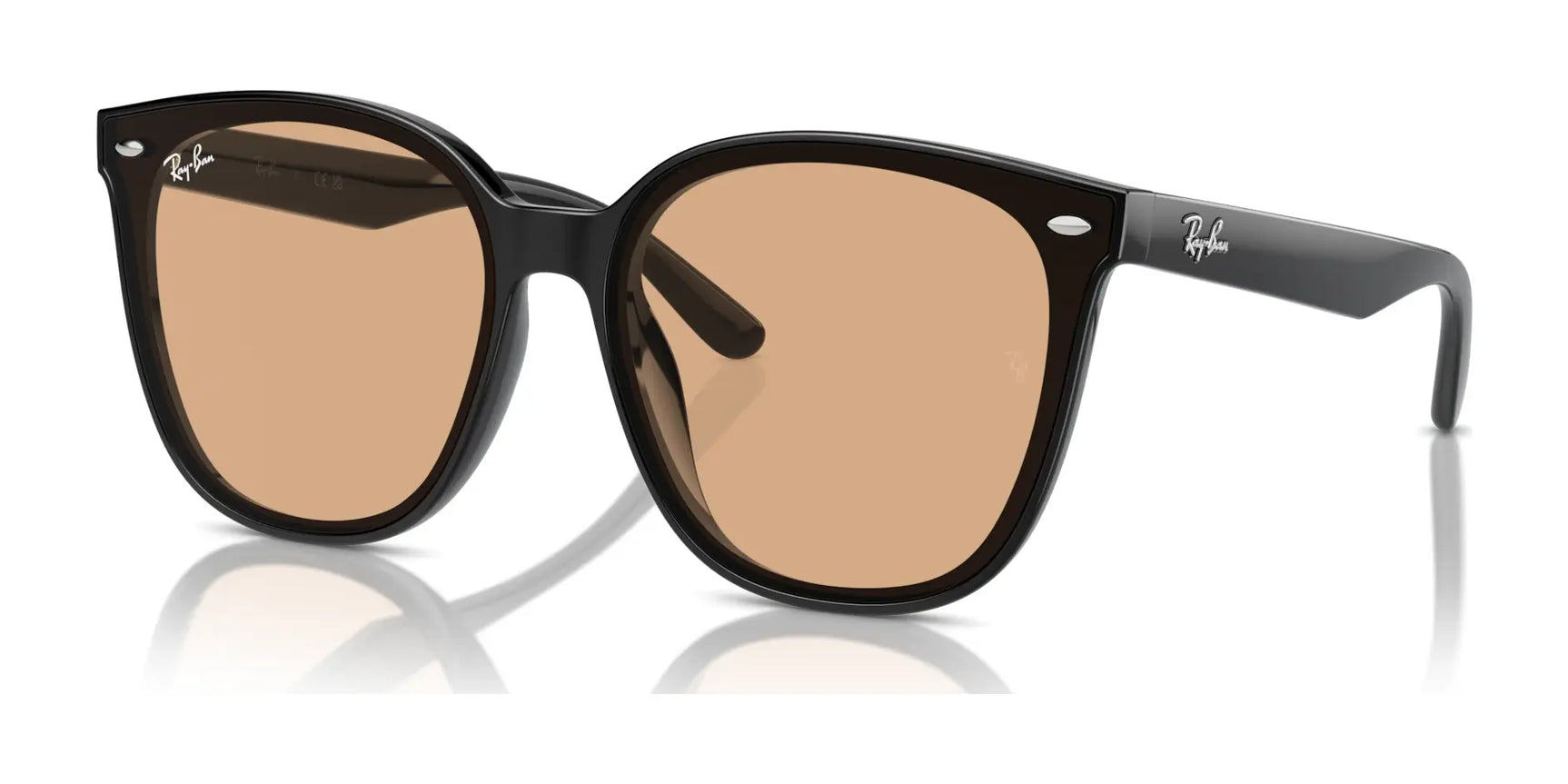 Ray-Ban RB4423D Sunglasses Black / Brown