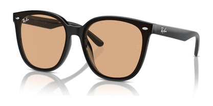 Ray-Ban RB4423D Sunglasses Black / Brown