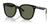 Ray-Ban RB4423D Sunglasses | Size 66 / Black №601/9A