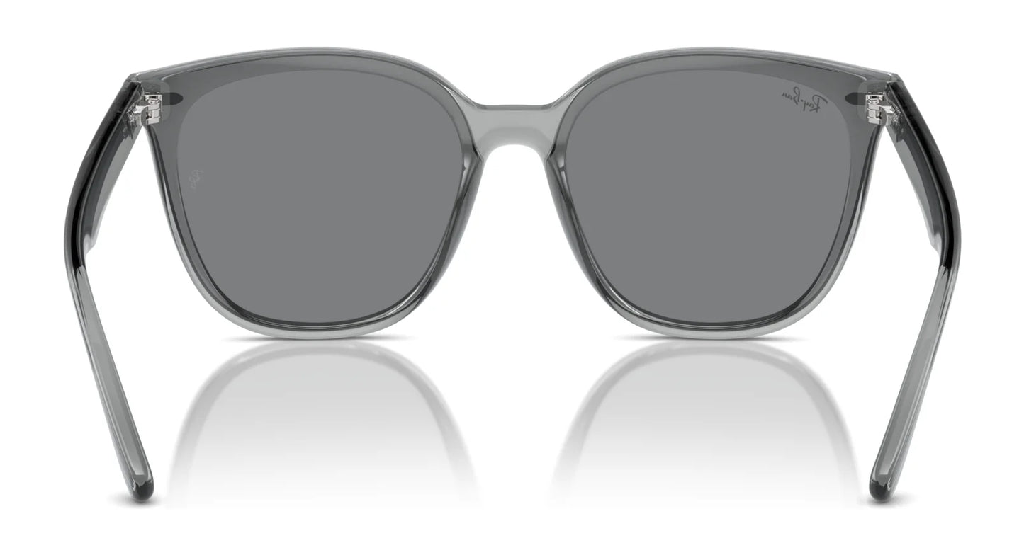 Ray-Ban RB4423D Sunglasses | Size 66