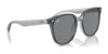 Ray-Ban RB4423D Sunglasses | Size 66 / Black №601/87 / Dark Grey (3N 9.3%)