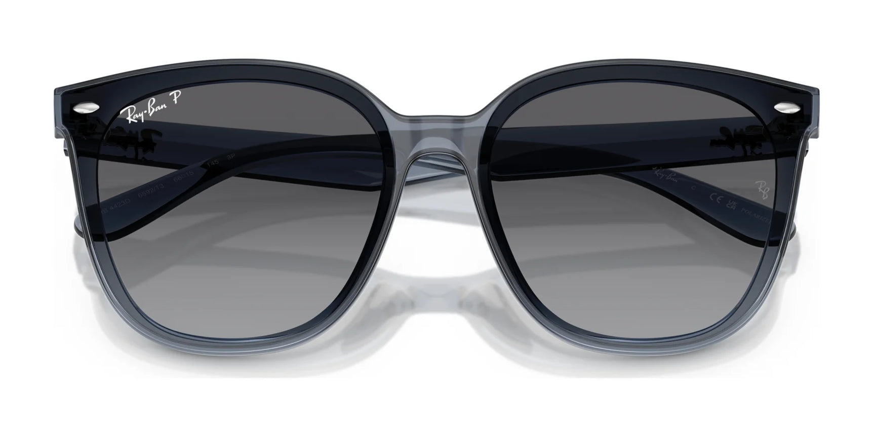 Ray-Ban RB4423D Sunglasses | Size 66