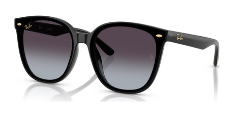 Ray-Ban RB4423D Sunglasses | Size 66