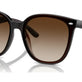 Transparent Brown №714/13