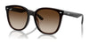Ray-Ban RB4423D Sunglasses | Size 66 / Transparent Brown №714/13 / Brown (3N 16%)