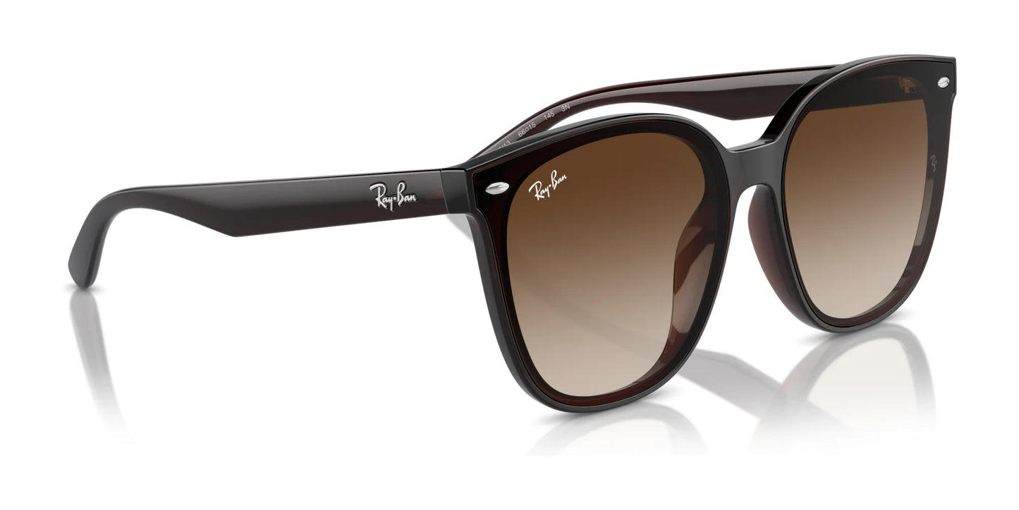 Ray-Ban RB4423D Sunglasses | Size 66