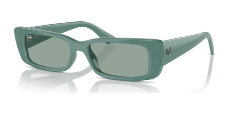 Ray-Ban TERU RB4425 Sunglasses Algae Green / Petrol Green