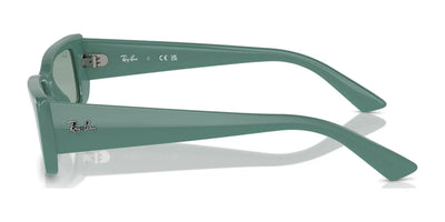 Ray-Ban TERU RB4425 Sunglasses | Size 54