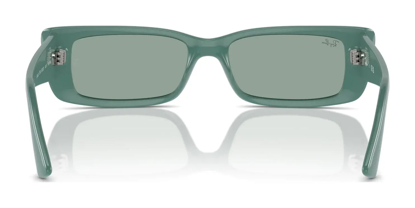 Ray-Ban TERU RB4425 Sunglasses | Size 54