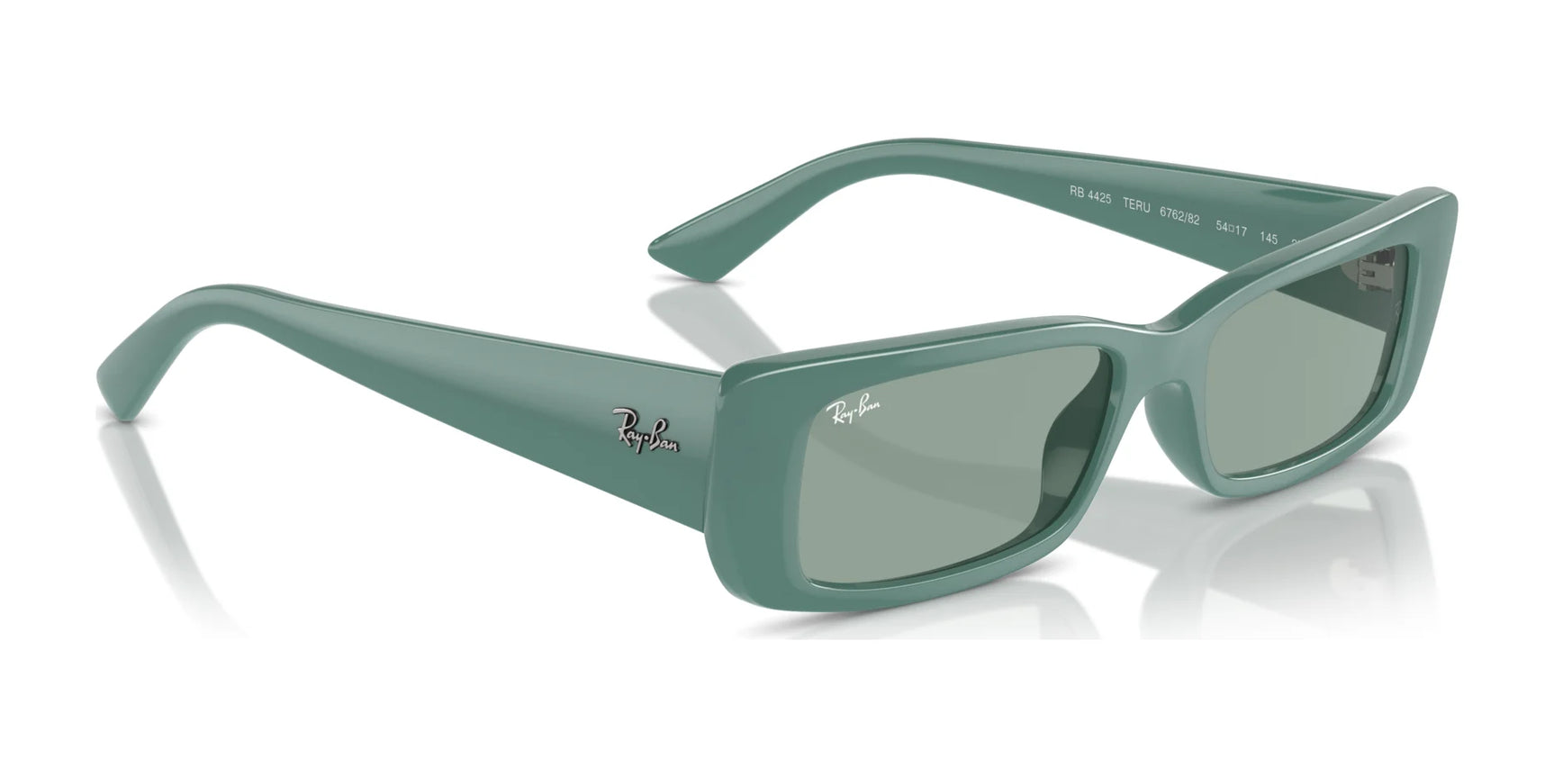 Ray-Ban TERU RB4425 Sunglasses | Size 54