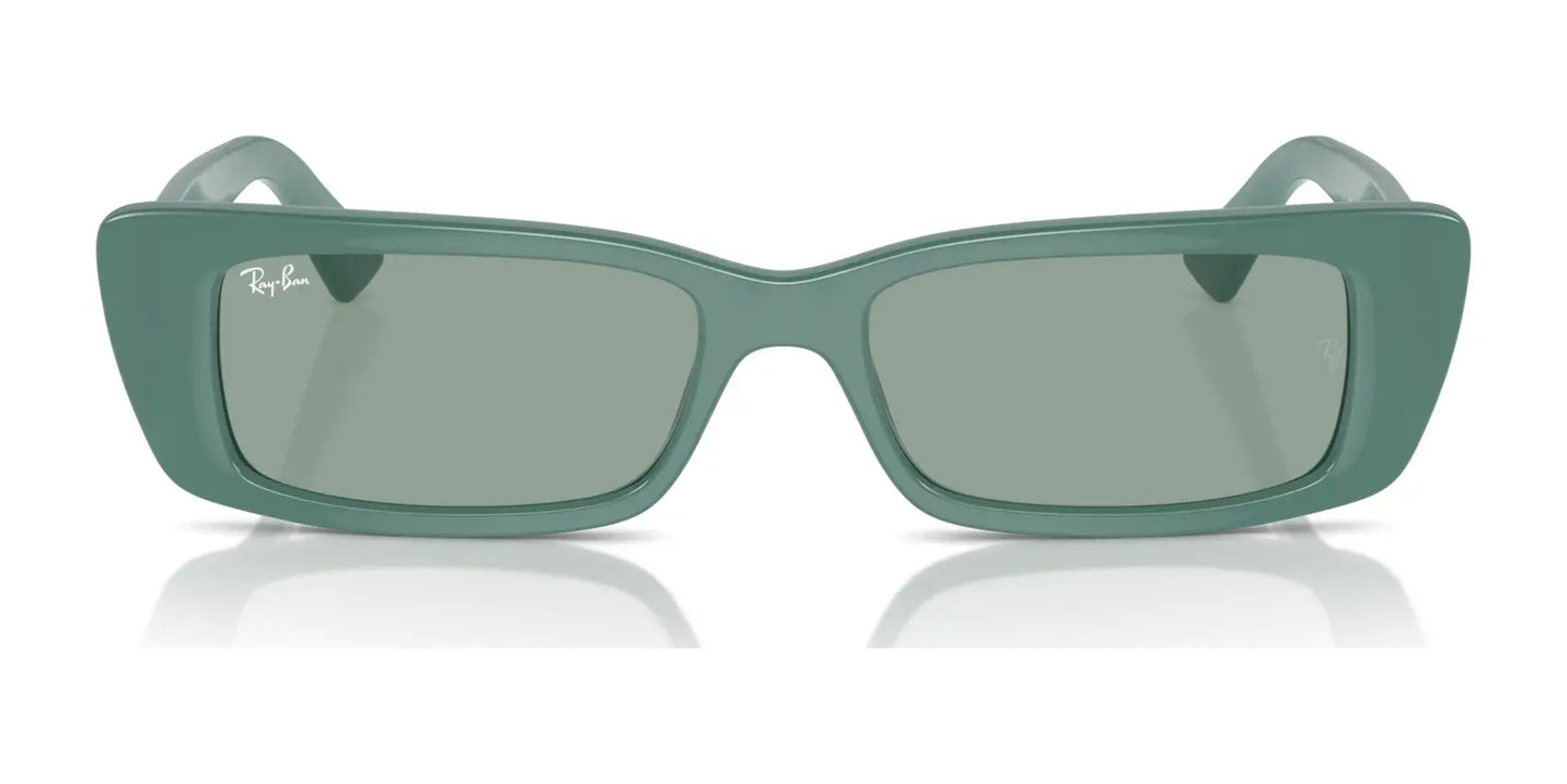 Ray-Ban TERU RB4425 Sunglasses | Size 54