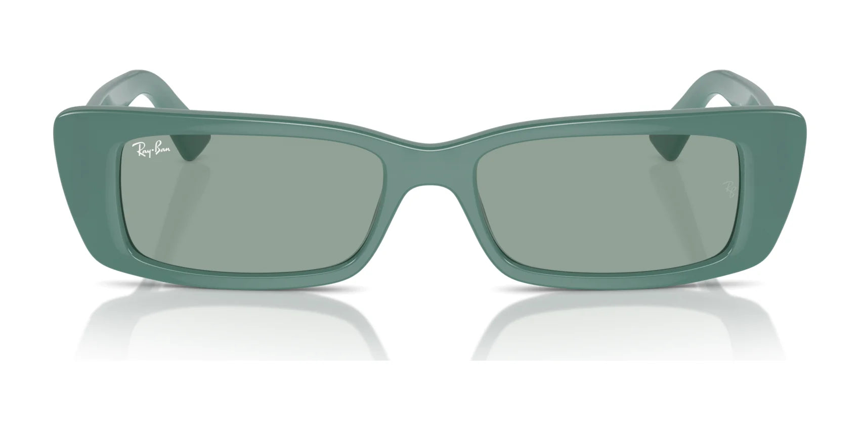 Ray-Ban TERU RB4425 Sunglasses | Size 54