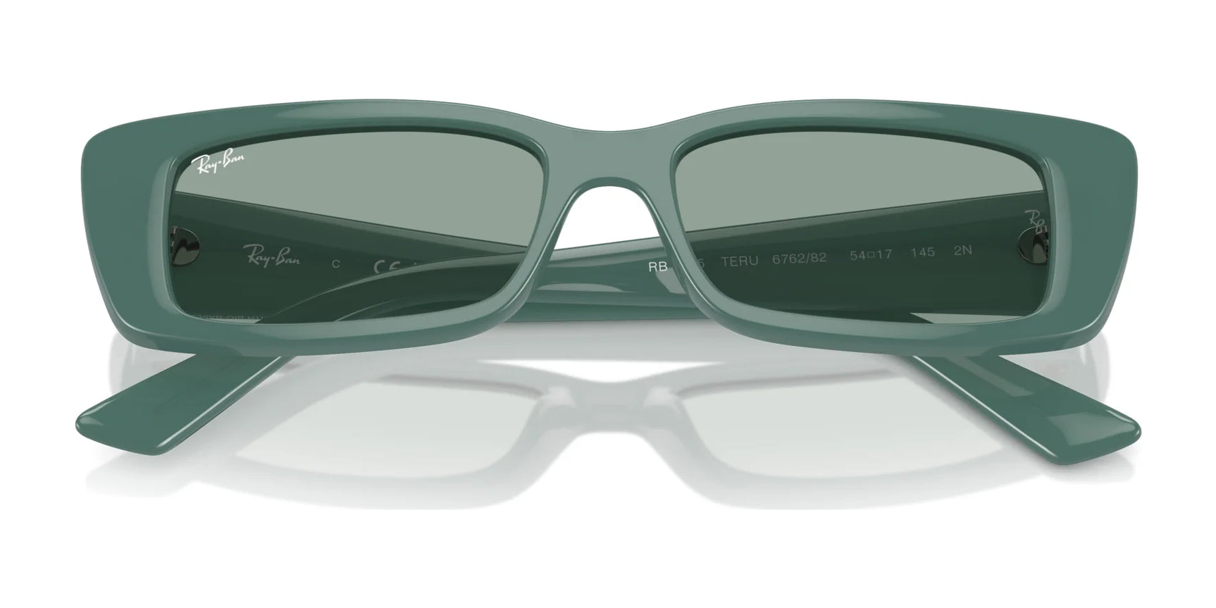 Ray-Ban TERU RB4425 Sunglasses | Size 54