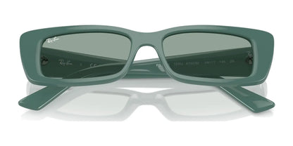 Ray-Ban TERU RB4425 Sunglasses | Size 54