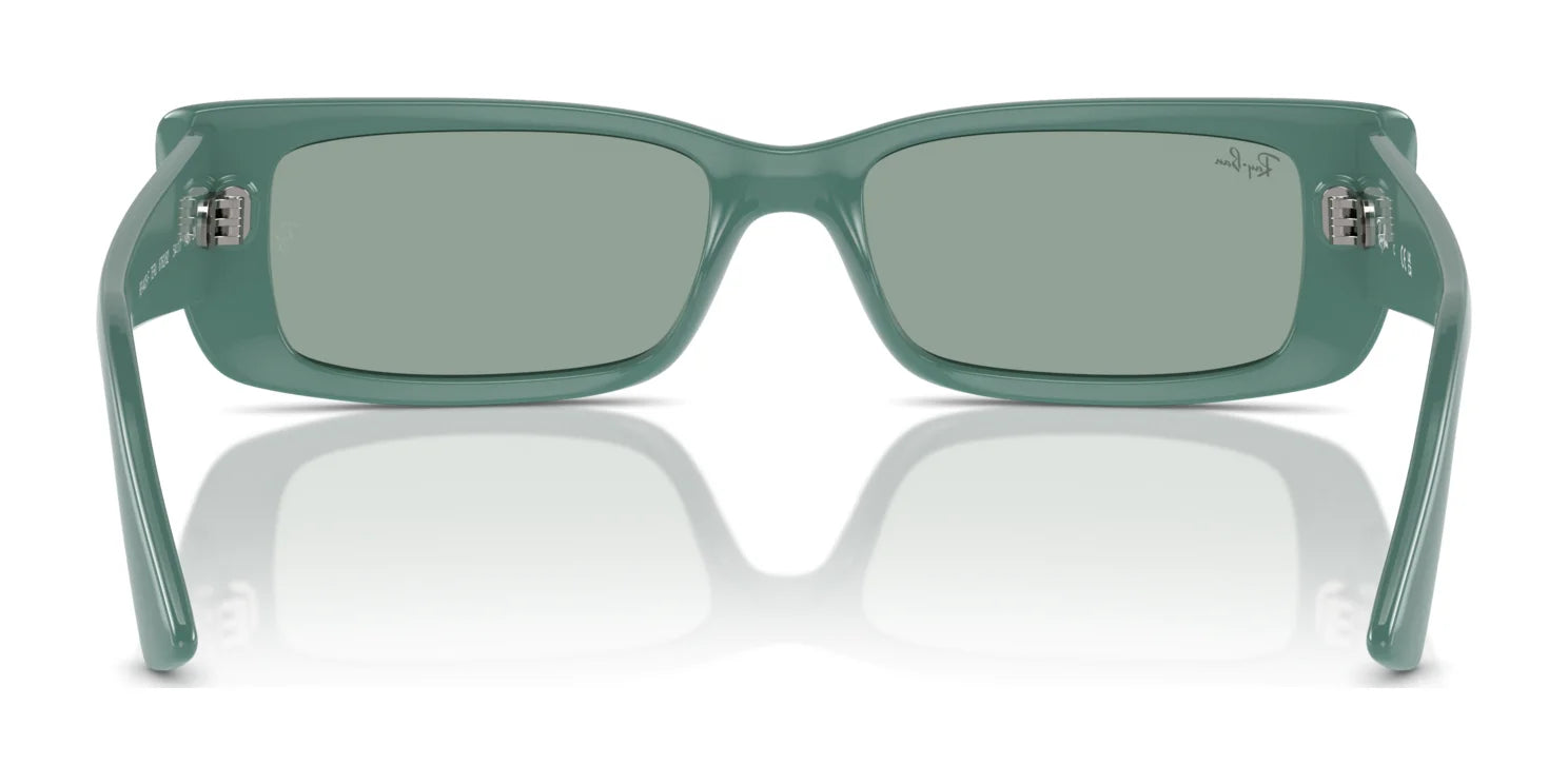 Ray-Ban TERU RB4425F Sunglasses | Size 54