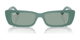 Ray-Ban TERU RB4425F Sunglasses | Size 54