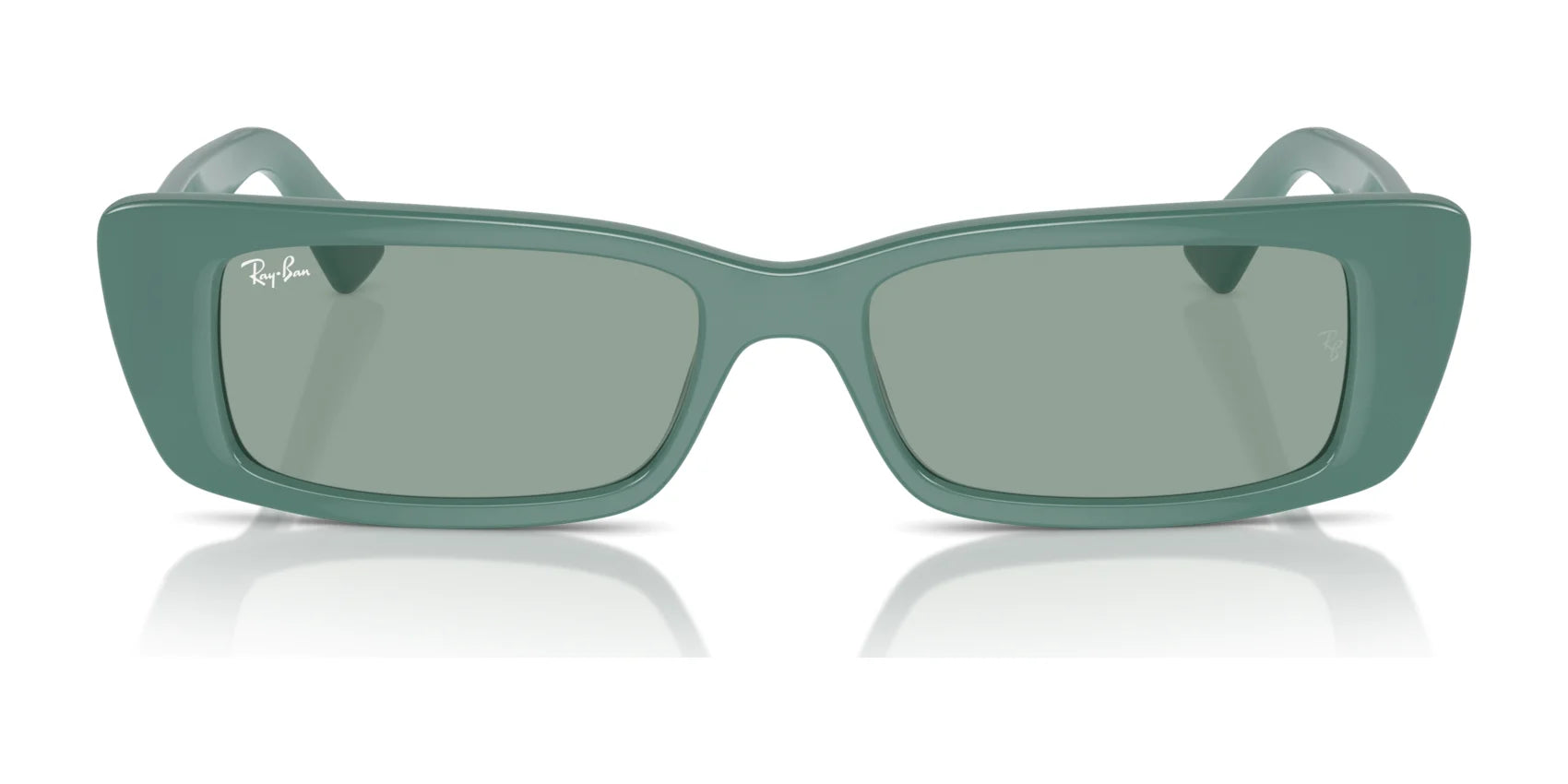 Ray-Ban TERU RB4425F Sunglasses | Size 54