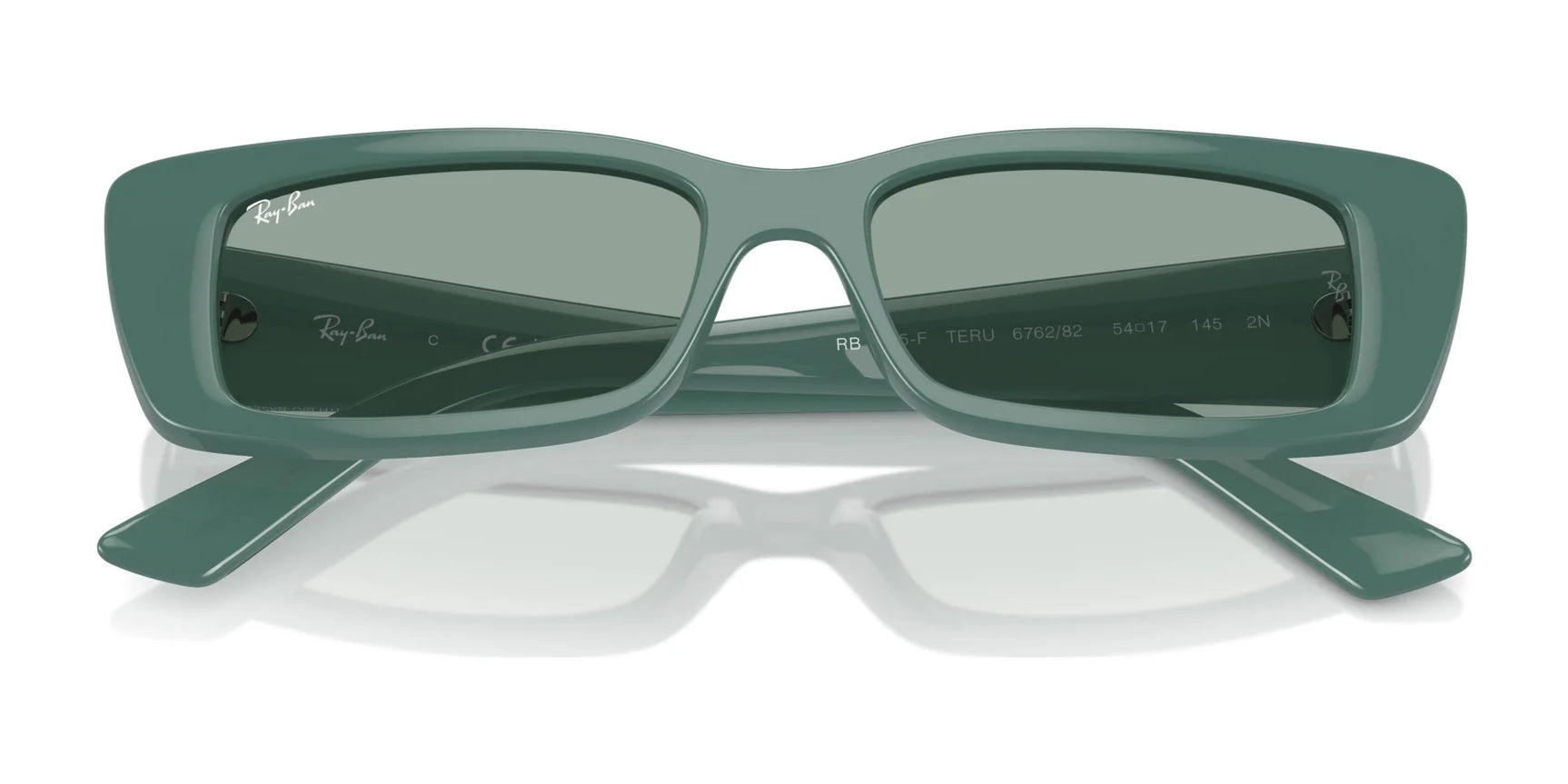 Ray-Ban TERU RB4425F Sunglasses | Size 54