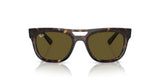 Ray-Ban PHIL RB4426 sunglasses, size 54, with tortoiseshell bio-based acetate frames and dark lenses, showcased on a white background.