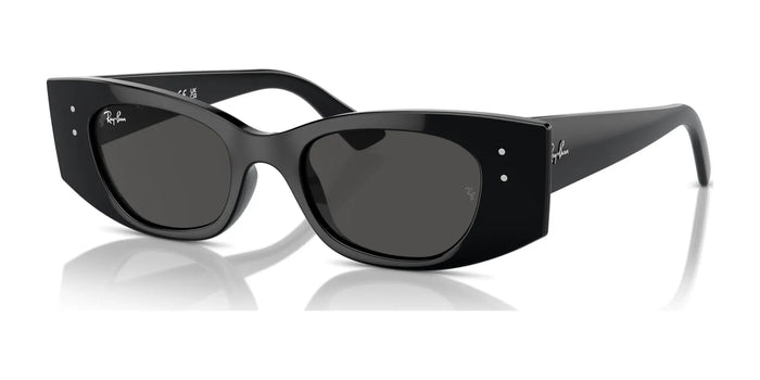 Ray-Ban KAT RB4427 Sunglasses | Size 49 / Black №667787 / Dark Grey (3N 10.1%)