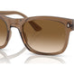 Transparent Light Brown №664051
