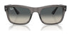 Ray-Ban RB4428 Sunglasses | Size 56 / Black №601/31 / Green (3N 13.2%)