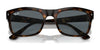 Ray-Ban RB4428 Sunglasses | Size 56 / Black №601/31 / Green (3N 13.2%)