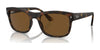 Ray-Ban RB4428 Sunglasses | Size 56 / Havana №894/57 / Brown (Polarized) (3P 11.9%)