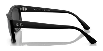 Ray-Ban RB4428F Sunglasses | Size 56