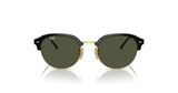 Ray-Ban RB4429 Sunglasses