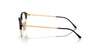Ray-Ban RB4429 Eyeglasses / Black On Gold №601/GH / Clear/Grey (Photochromic) (3F 15.7%) / Size 53
