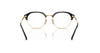 Ray-Ban RB4429 Eyeglasses / Black On Gold №601/GH / Clear/Grey (Photochromic) (3F 15.7%) / Size 53