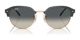 Ray-Ban RB4429 Sunglasses