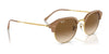 Ray-Ban RB4429 Sunglasses / Black On Gold №601/31 / Green (3N 13.2%) / Size 53