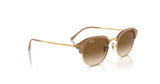 Ray-Ban RB4429 Sunglasses