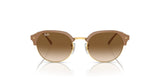 Ray-Ban RB4429 Sunglasses