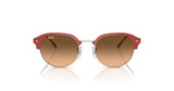 Ray-Ban RB4429 Sunglasses