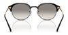 Ray-Ban RB4429 Sunglasses / Black On Gold №601/31 / Green (3N 13.2%) / Size 53