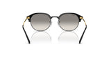 Ray-Ban RB4429 Sunglasses