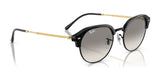 Ray-Ban RB4429 Sunglasses