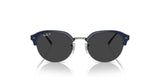 Ray-Ban RB4429 Sunglasses