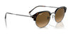 Ray-Ban RB4429 Sunglasses / Black On Gold №601/31 / Green (3N 13.2%) / Size 53