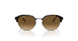 Ray-Ban RB4429 Sunglasses