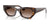 Ray-Ban ZENA RB4430 Sunglasses / Havana №135913