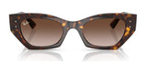 Ray-Ban ZENA RB4430 Sunglasses